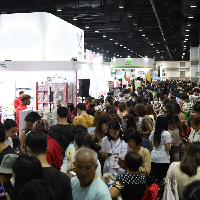 Cat Expo Thailand