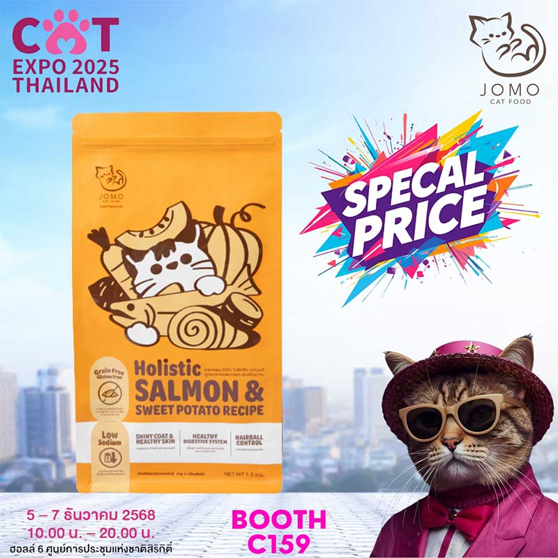 Cat Expo Thailand