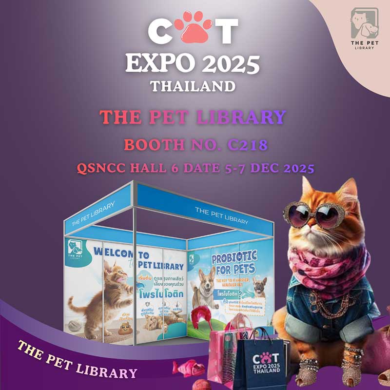 Cat Expo Thailand