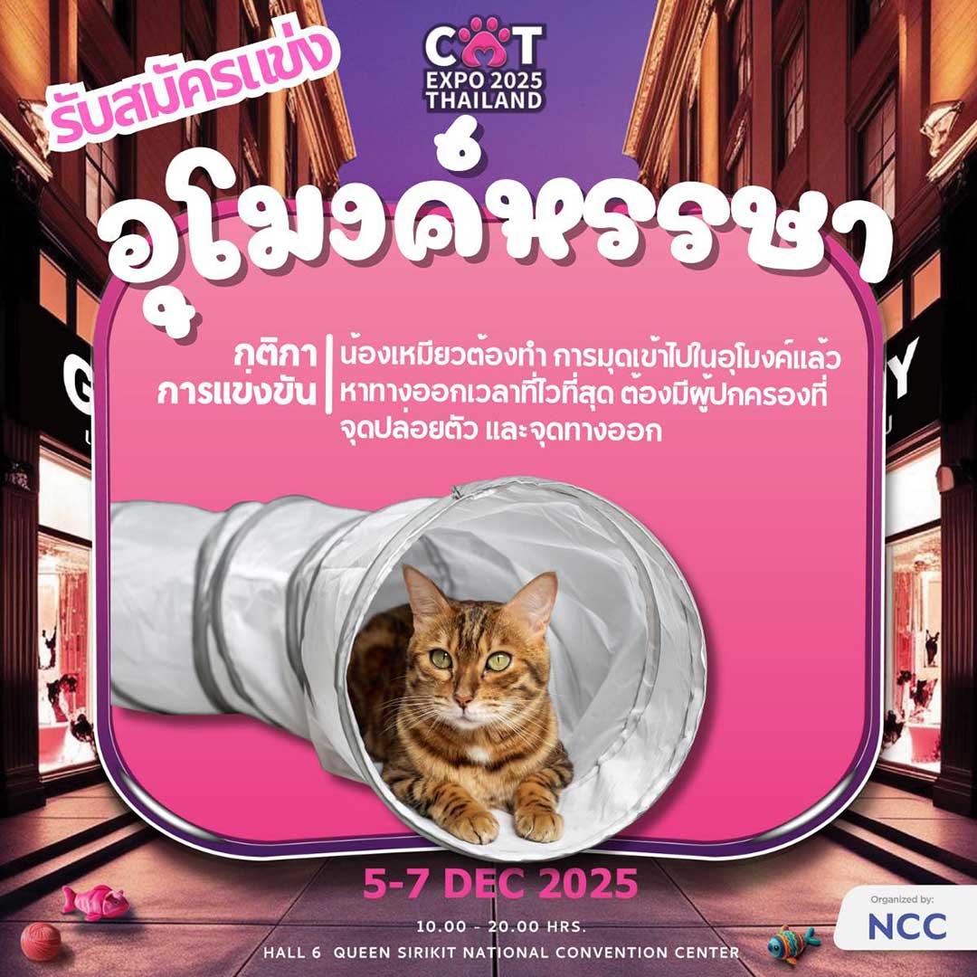 Cat Expo Thailand