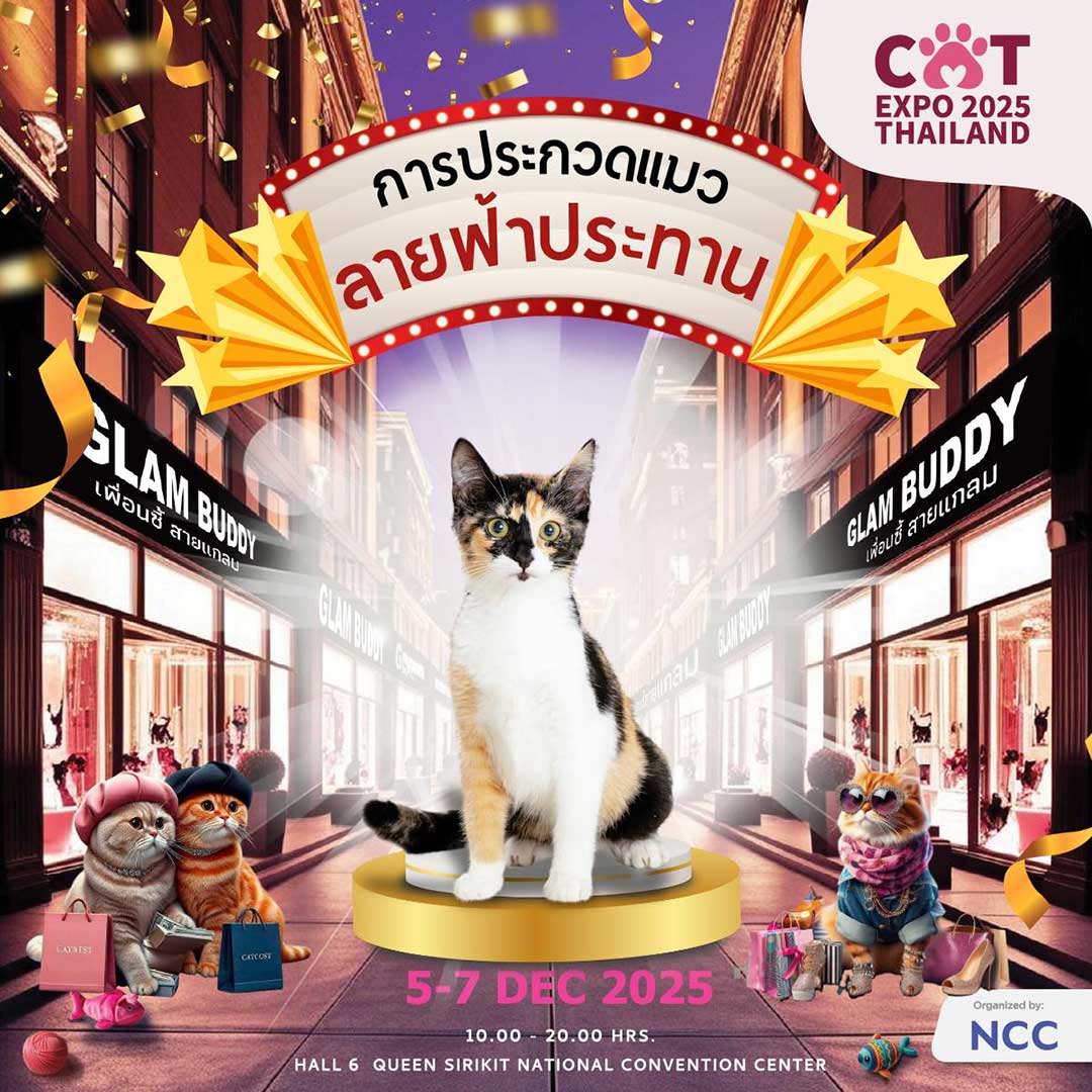 Cat Expo Thailand