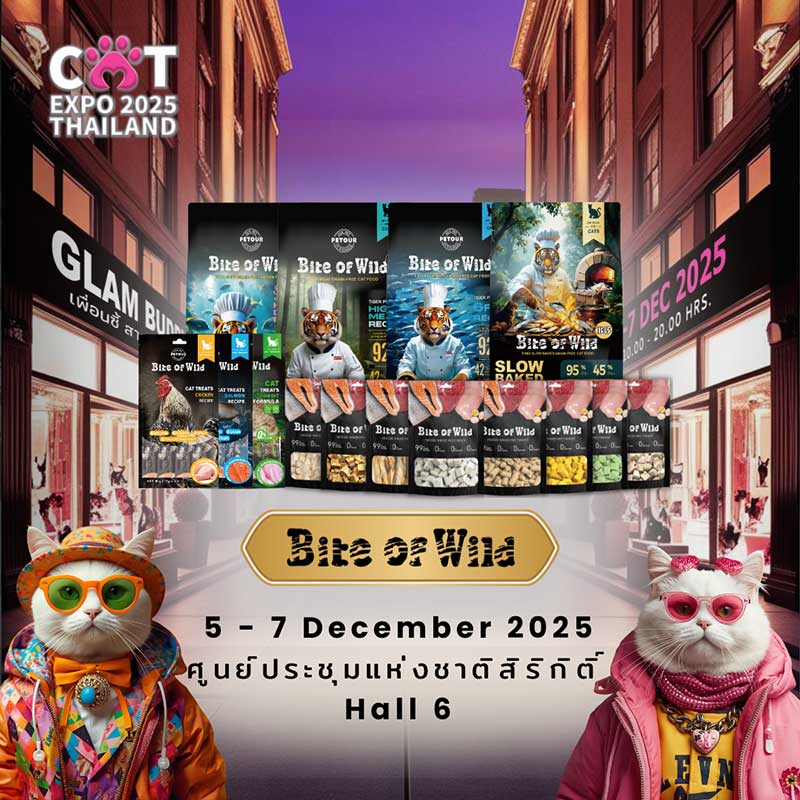 Cat Expo Thailand