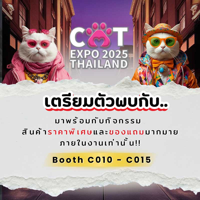 Cat Expo Thailand