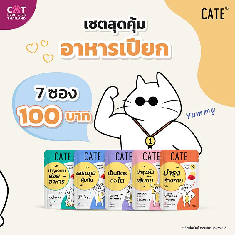 Cat Expo Thailand