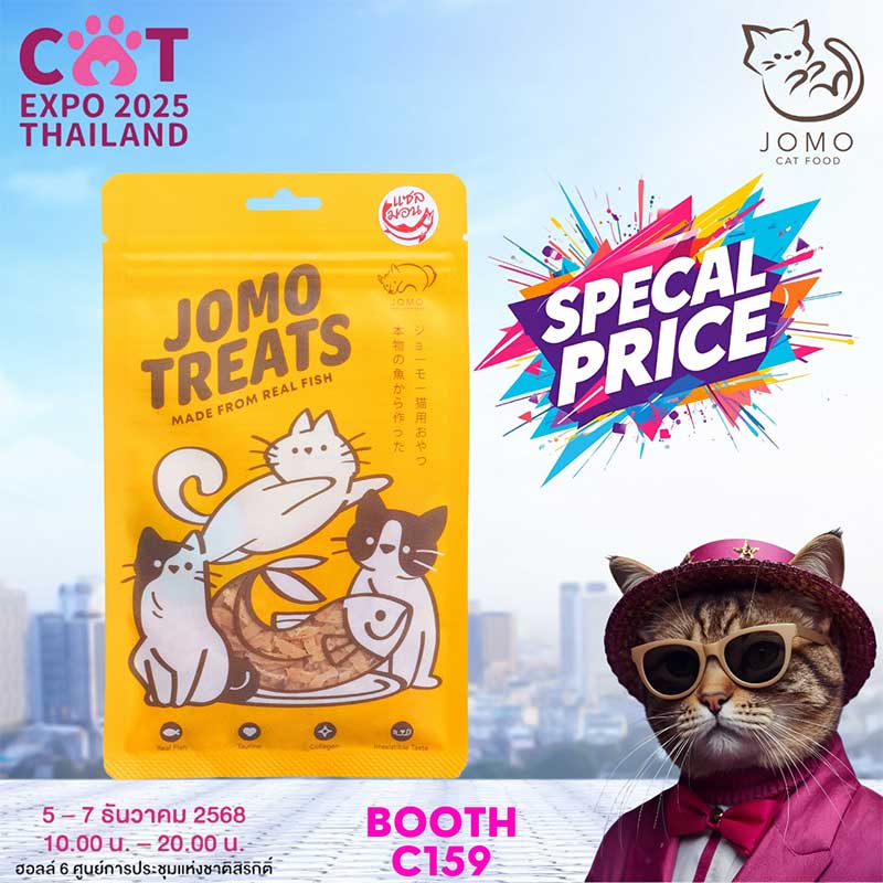 Cat Expo Thailand