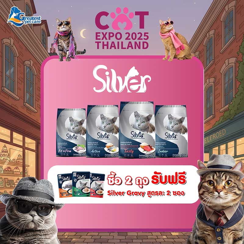 Cat Expo Thailand