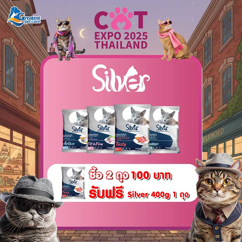 Cat Expo Thailand