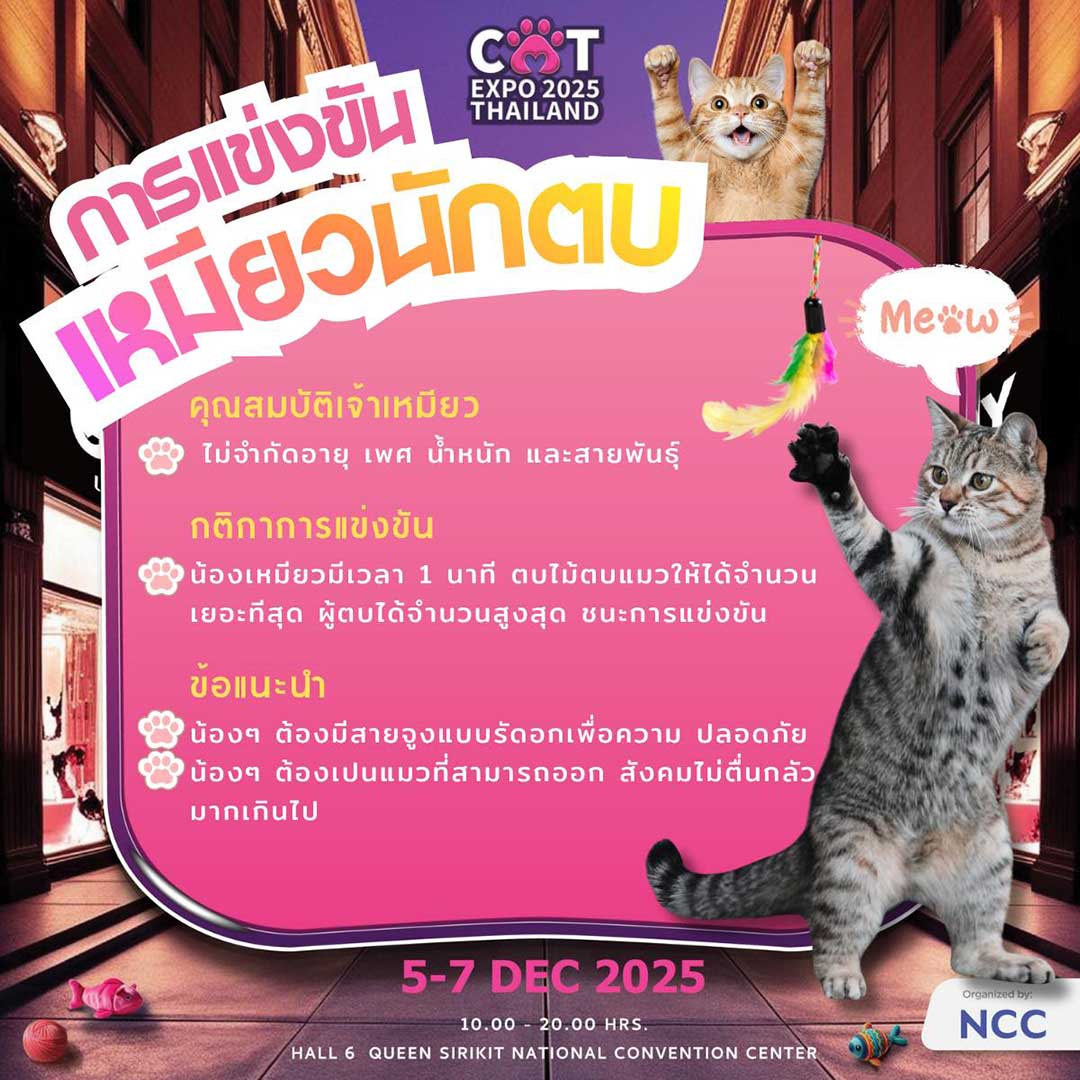 Cat Expo Thailand