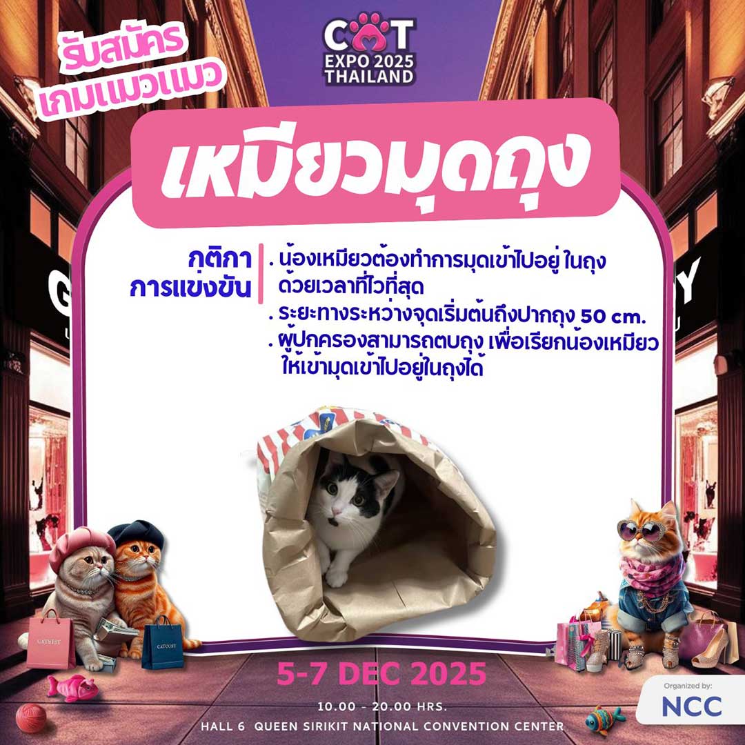 Cat Expo Thailand