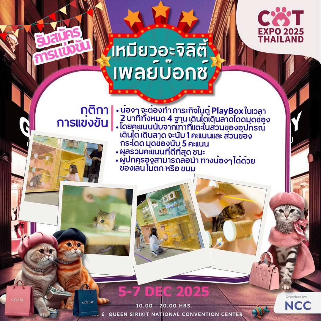 Cat Expo Thailand