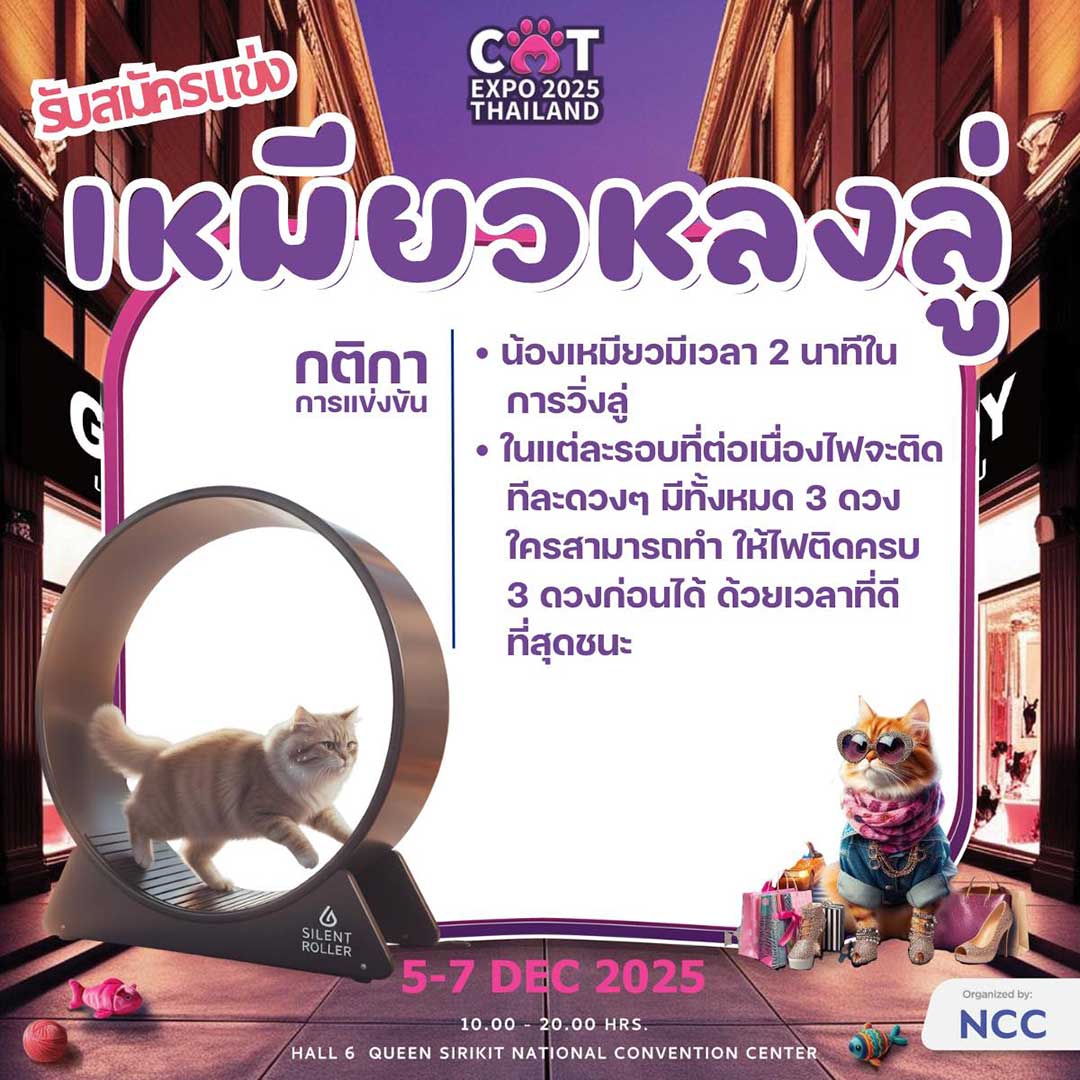 Cat Expo Thailand