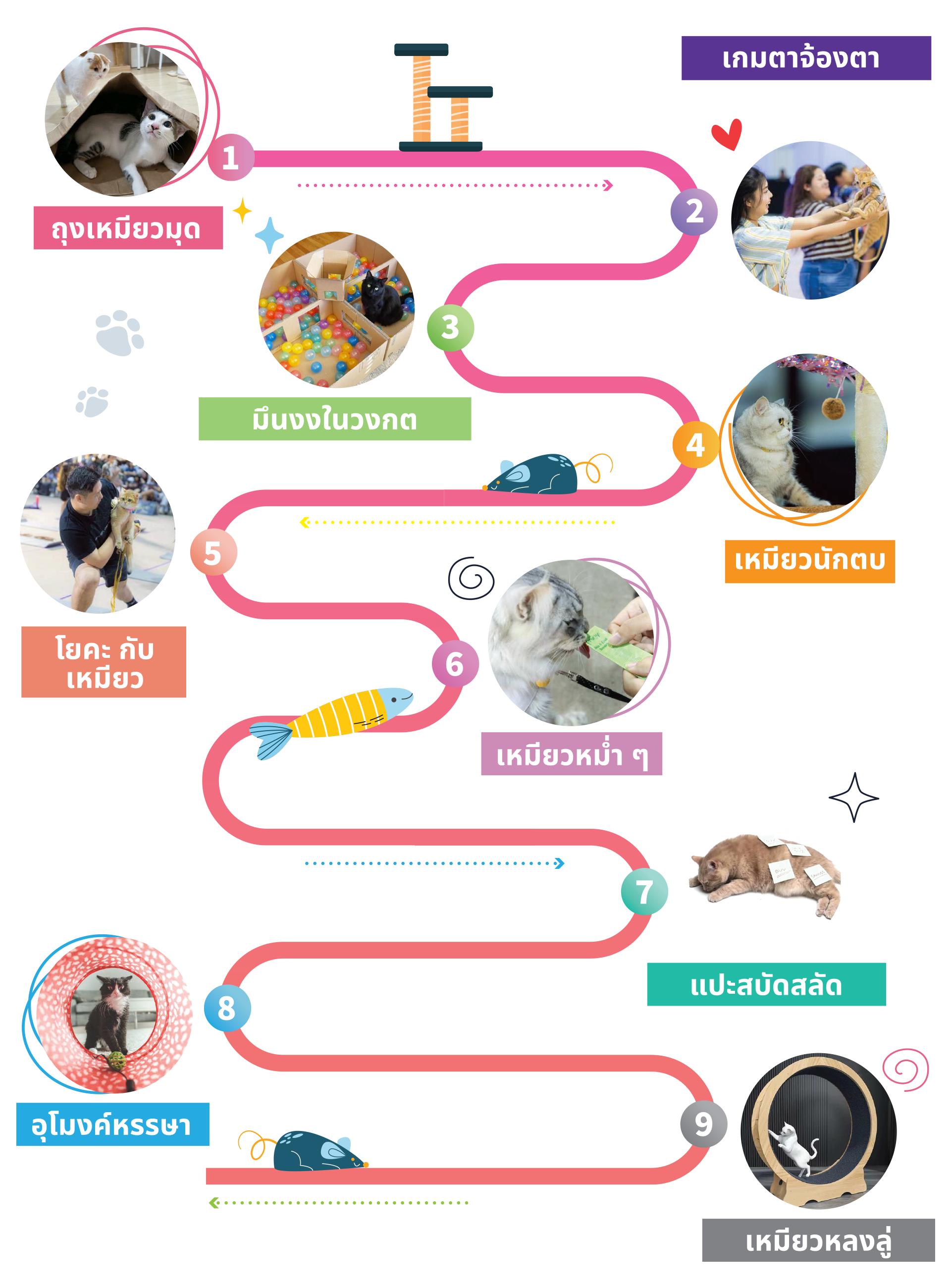 Cat Expo Thailand
